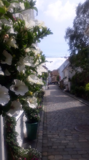 20190623_145532.jpg