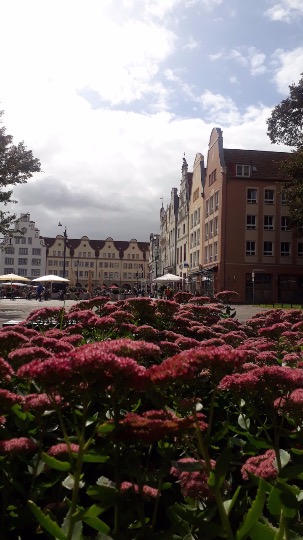 20190917_115805.jpg
