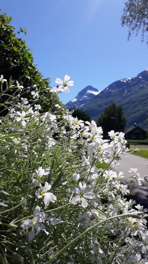 20190615_145640-1.jpg