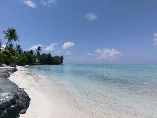 IMAG0951.jpg