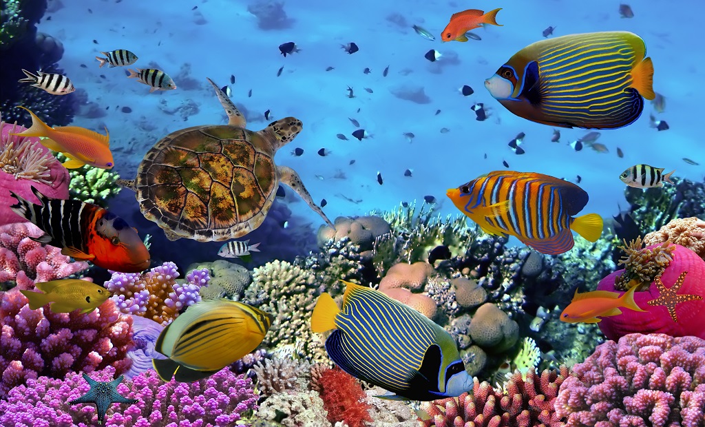 shutterstock_385106143.jpg