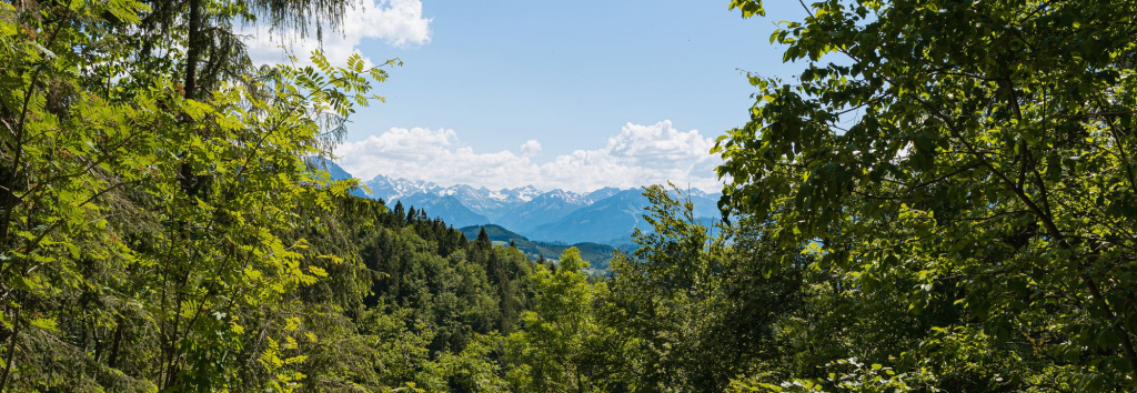 shutterstock_1751094596.jpg