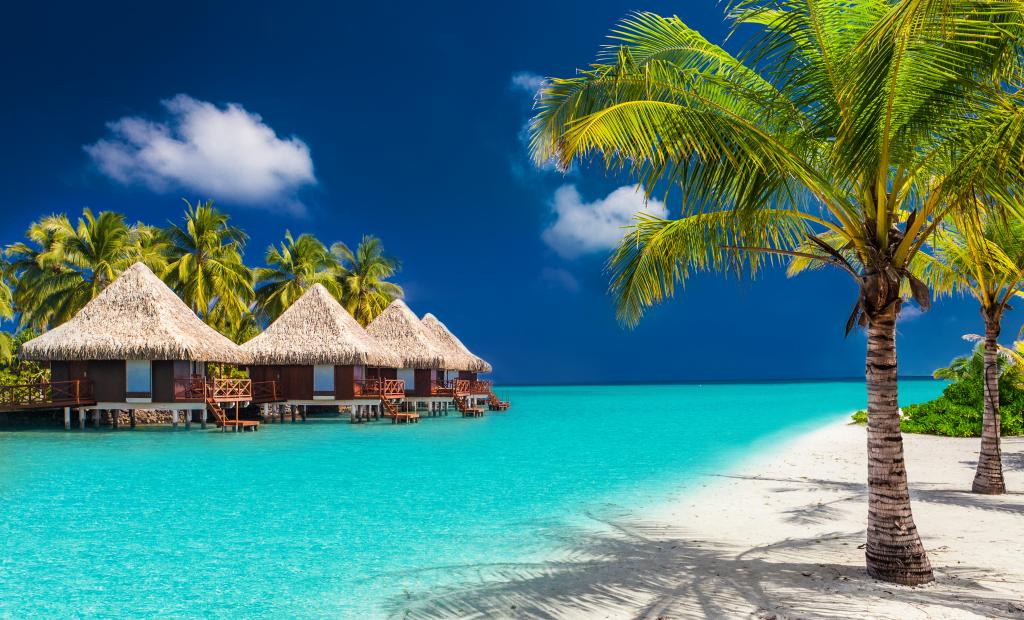 shutterstock_345773612.jpg