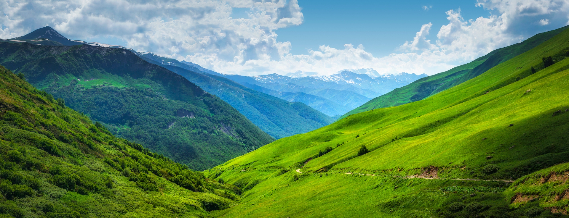 shutterstock_1199455126.jpg