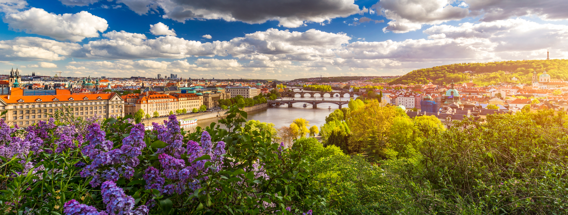 shutterstock_1387901048.jpg