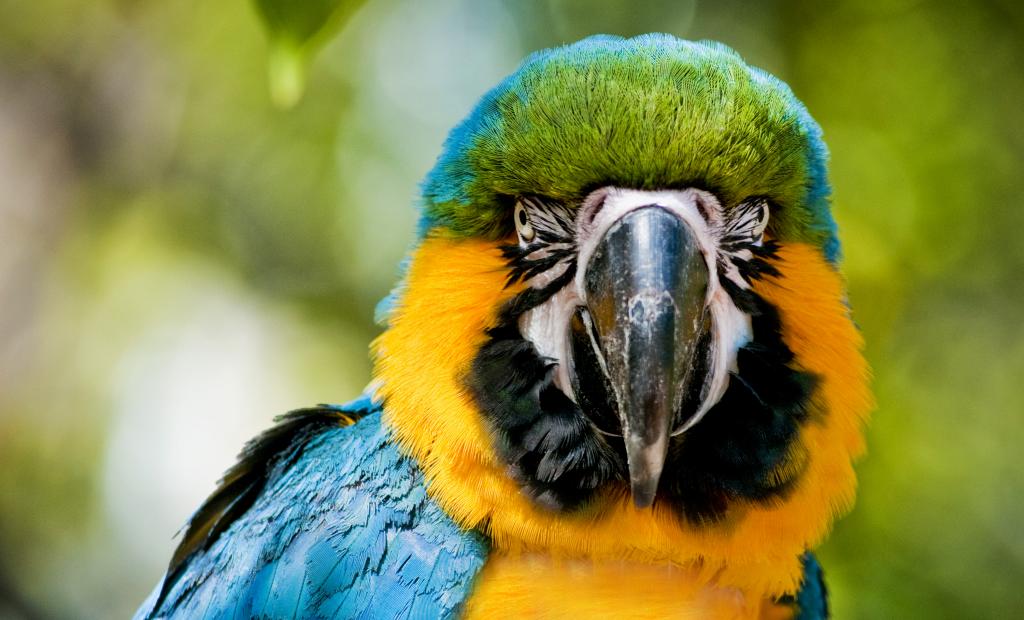 shutterstock_787296796.jpg