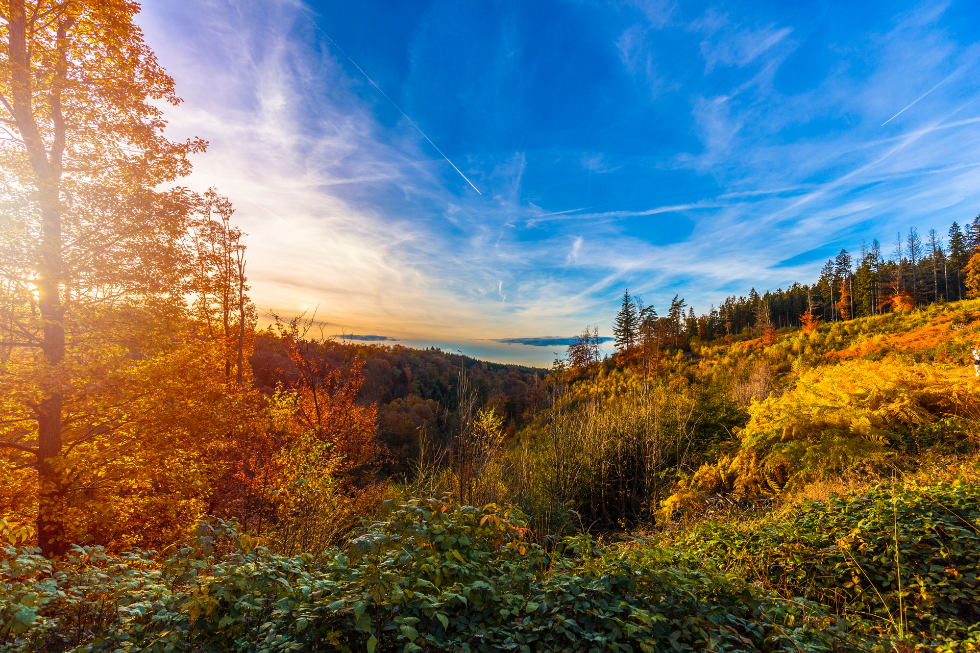 shutterstock_1037214235.jpg