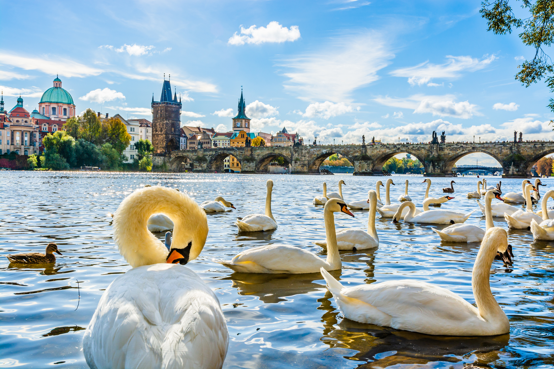 shutterstock_1742744828.jpg