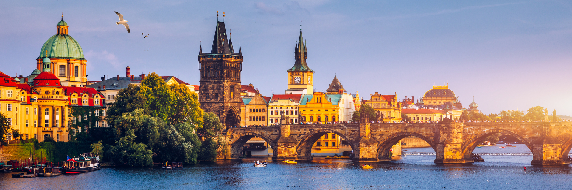 shutterstock_1712421151.jpg