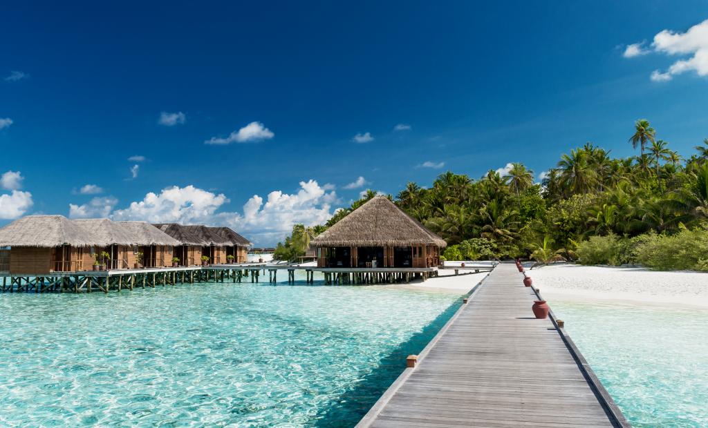 shutterstock_519815515.jpg