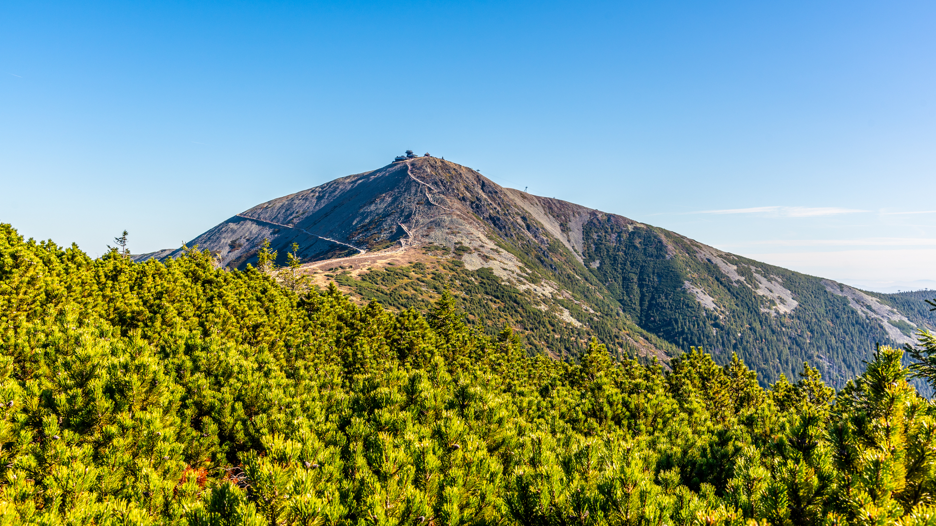 shutterstock_1592126596.jpg