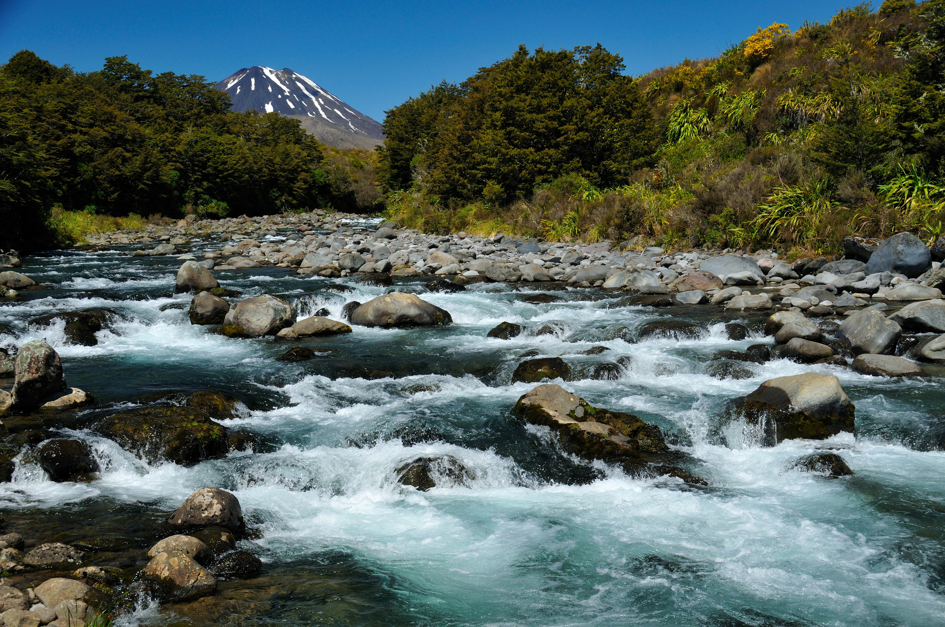 shutterstock_25439056.jpg