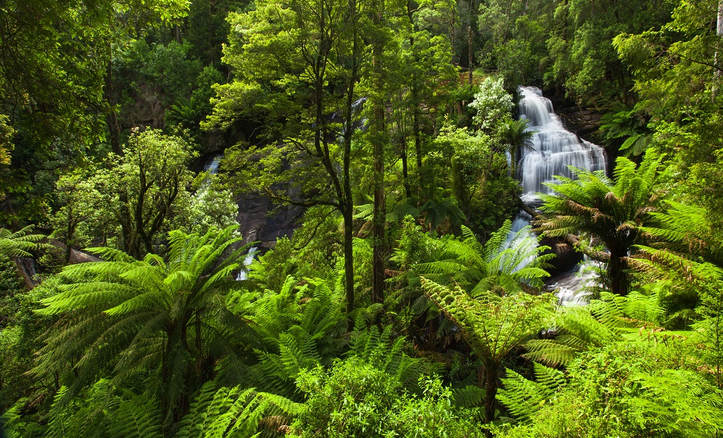 shutterstock_172599524.jpg