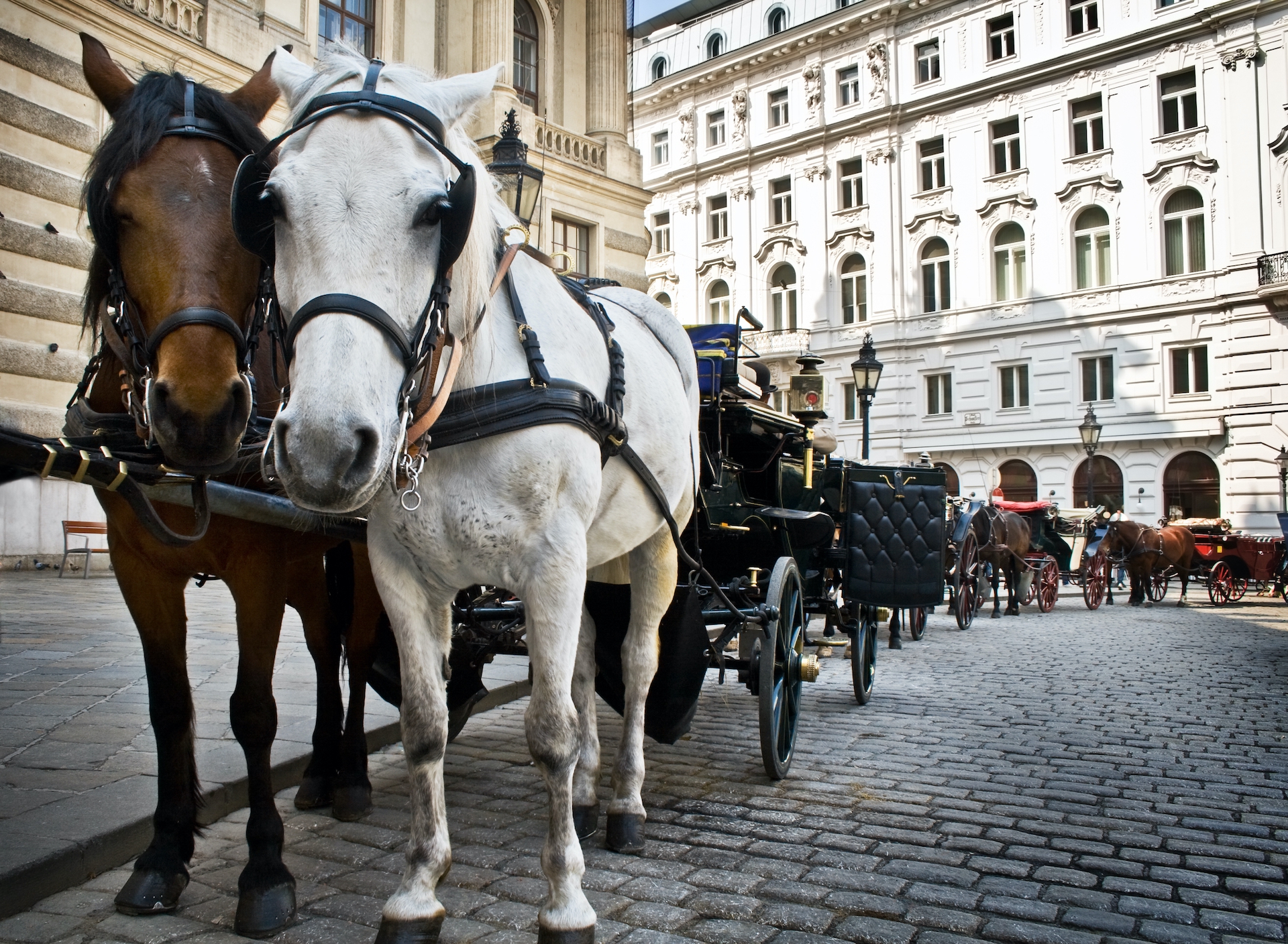 shutterstock_14512021.jpg