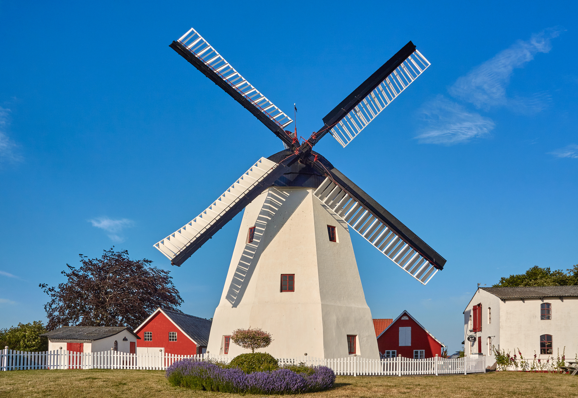 shutterstock_1625443171.jpg