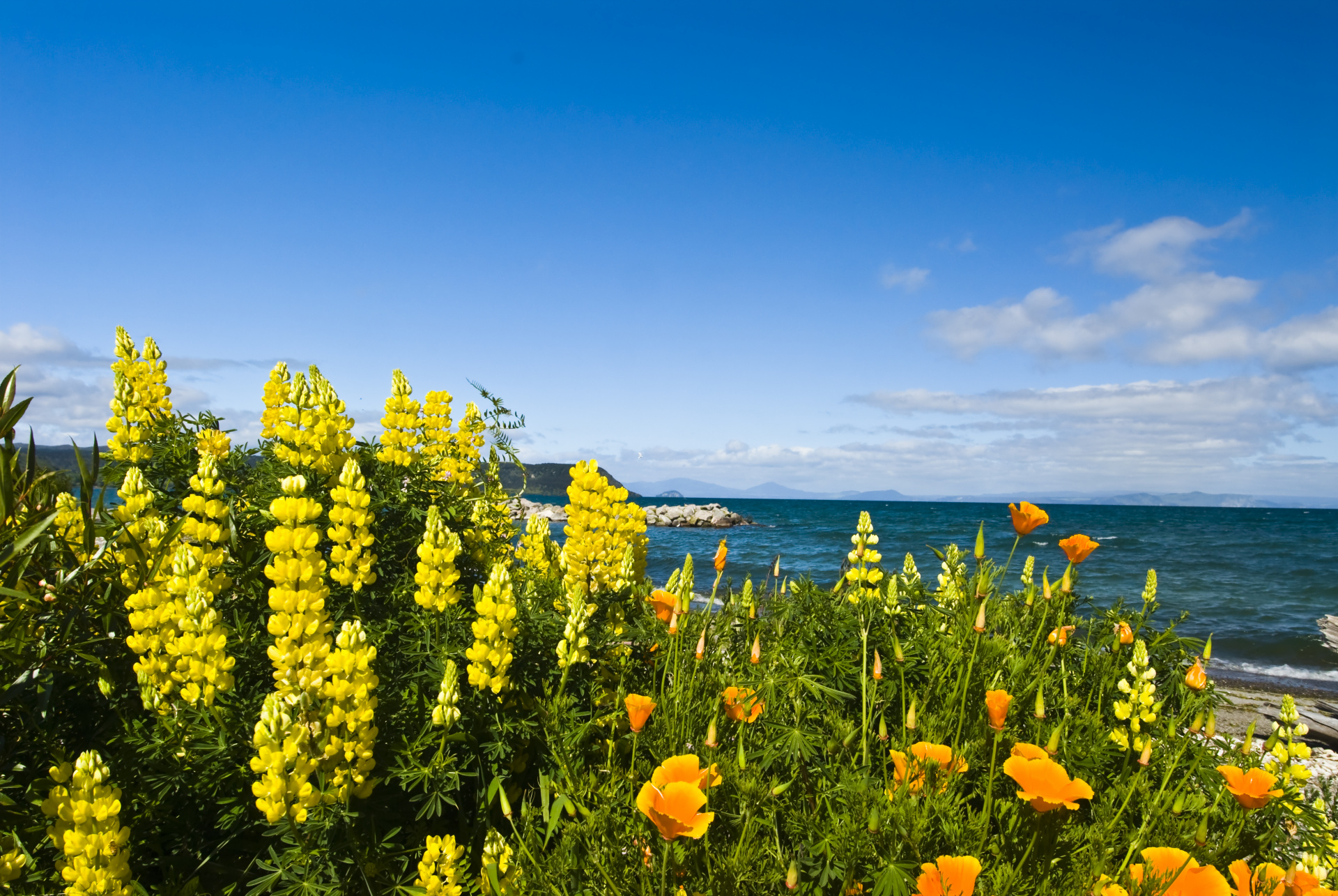 shutterstock_43474582.jpg