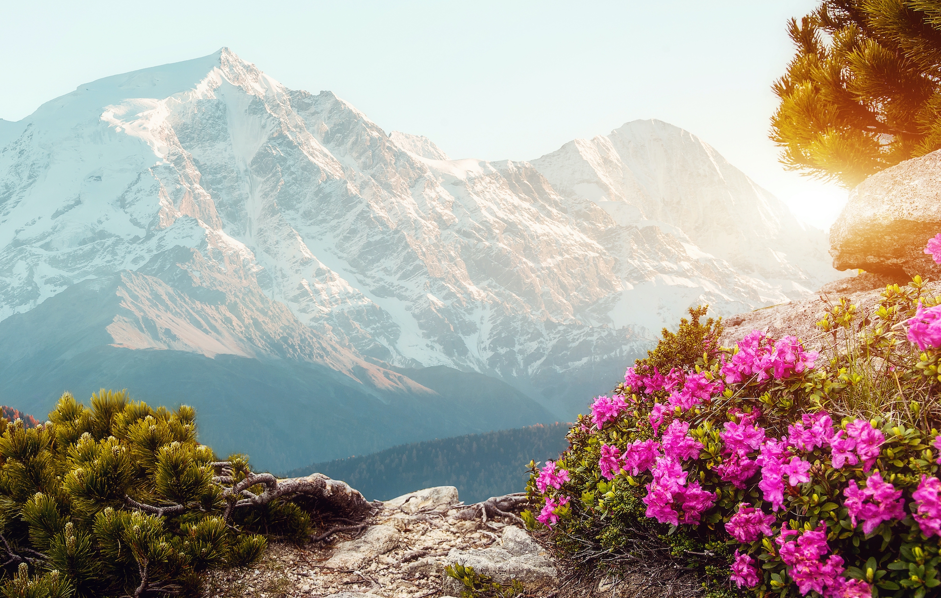 shutterstock_1060521035.jpg
