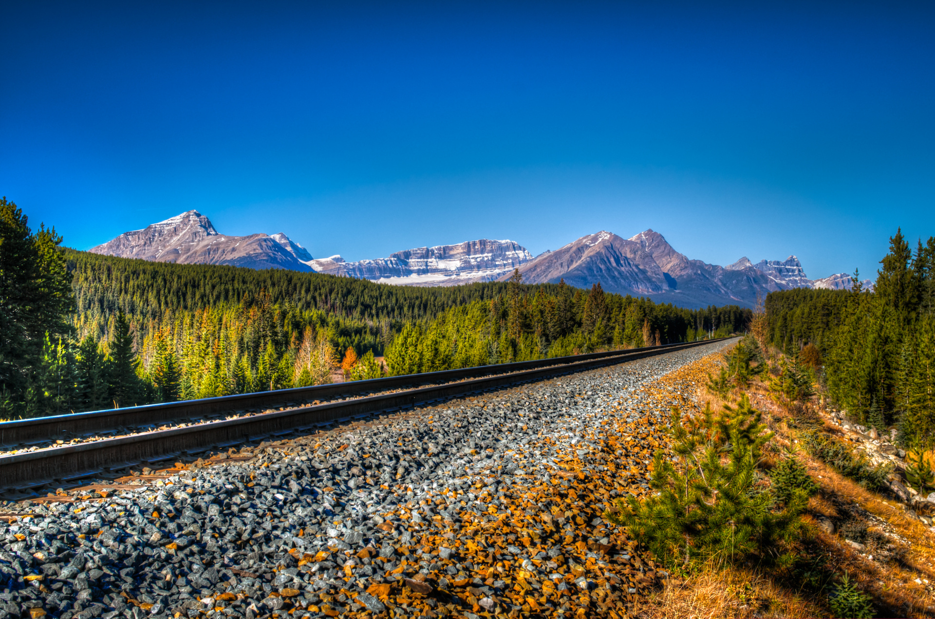 shutterstock_164838368.jpg