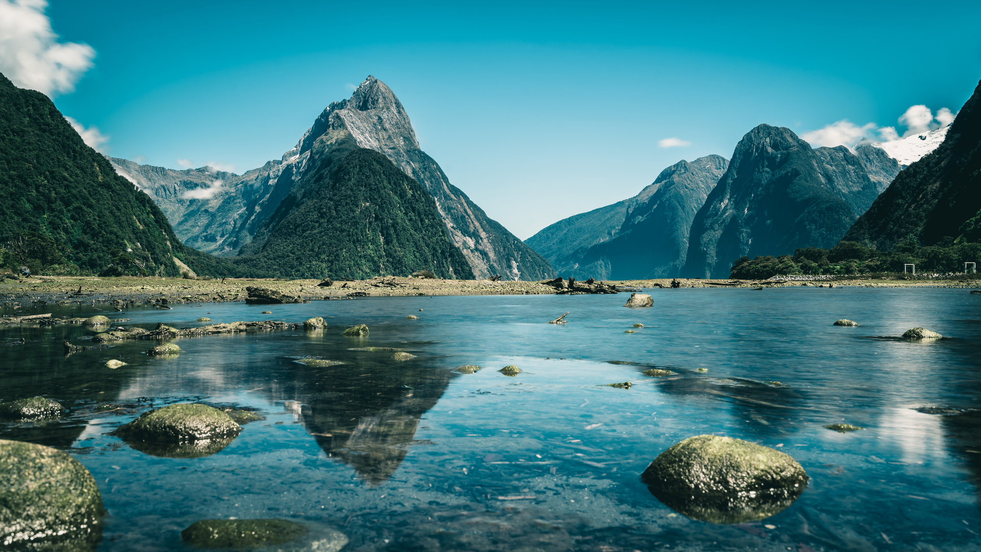 shutterstock_714301276.jpg