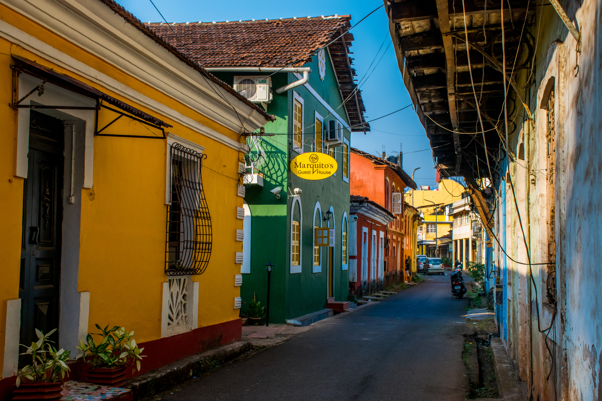 shutterstock_1239215413.jpg