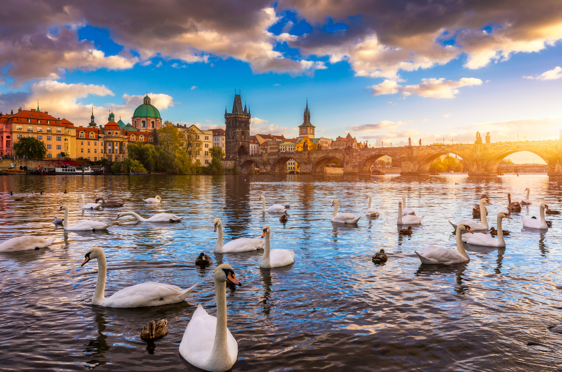 shutterstock_1608955303.jpg