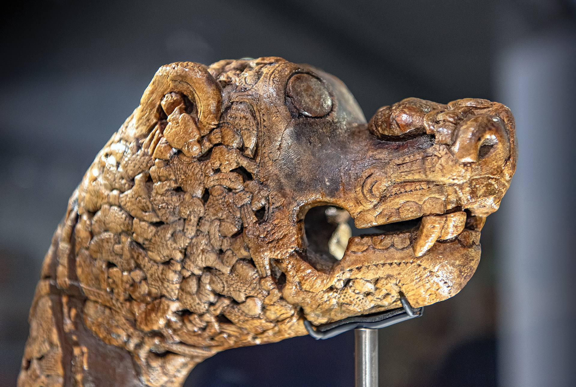 shutterstock_1562145448.jpg shutterstock_1562145448.jpg