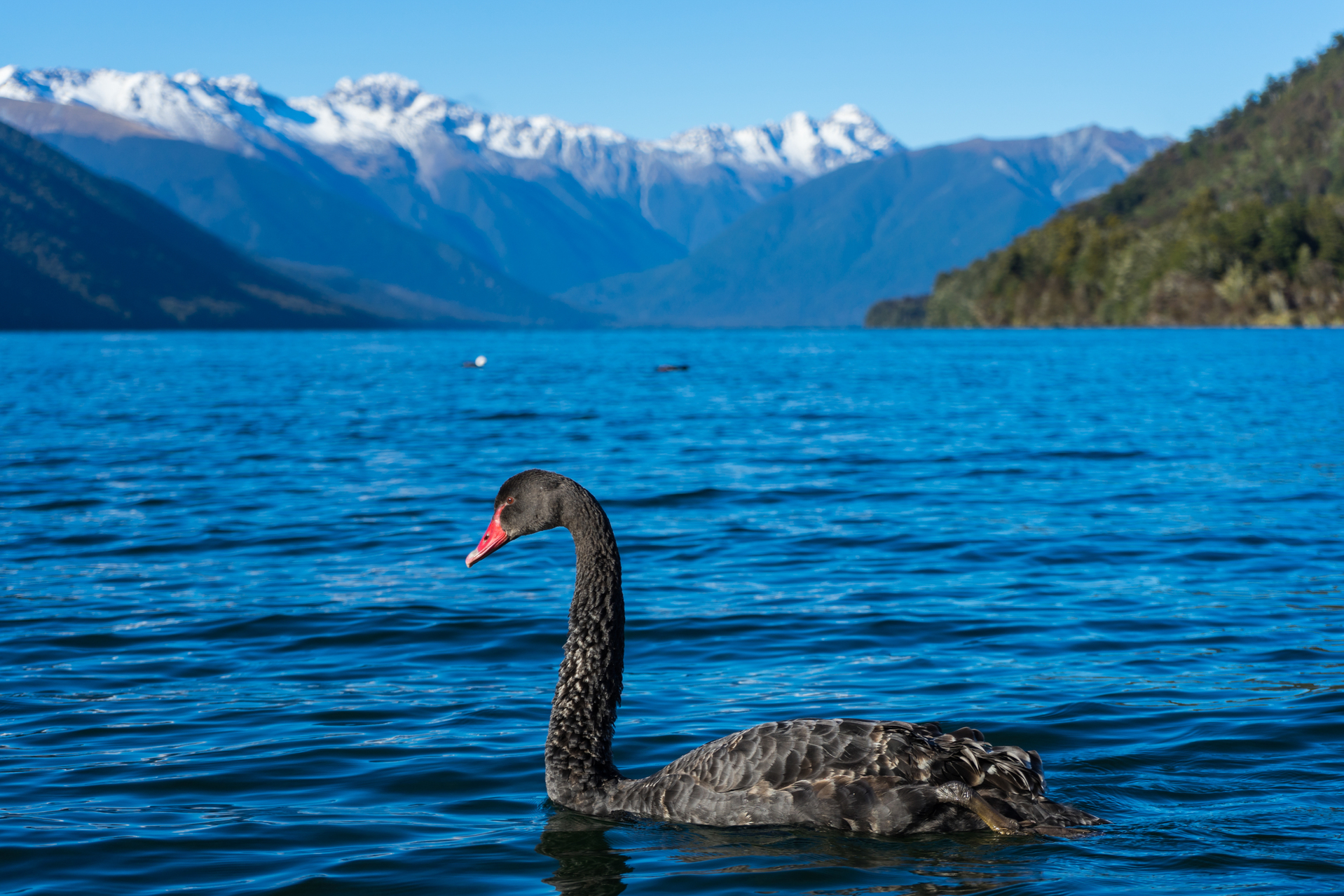 shutterstock_534913279.jpg