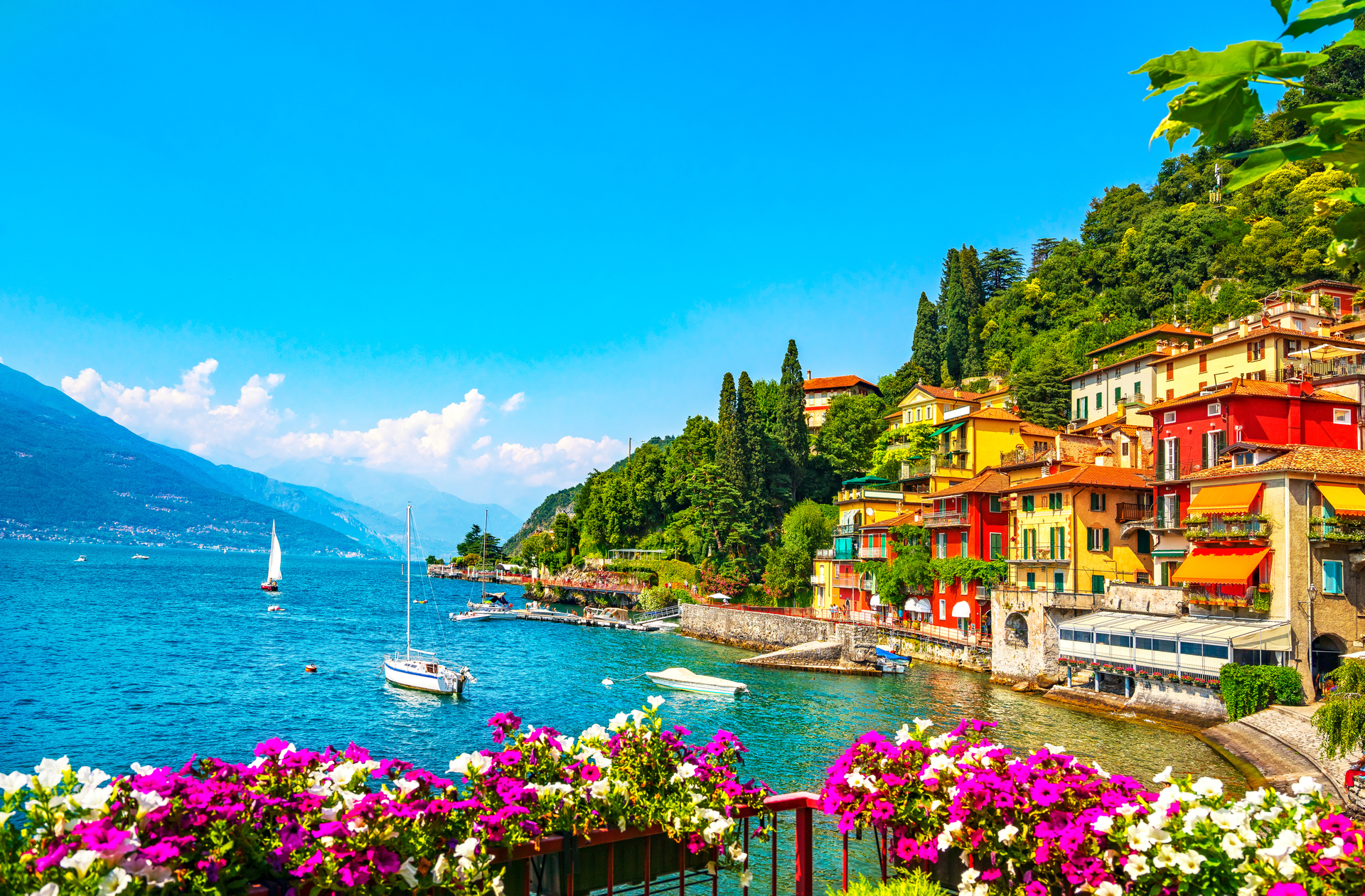 shutterstock_1218364807.jpg
