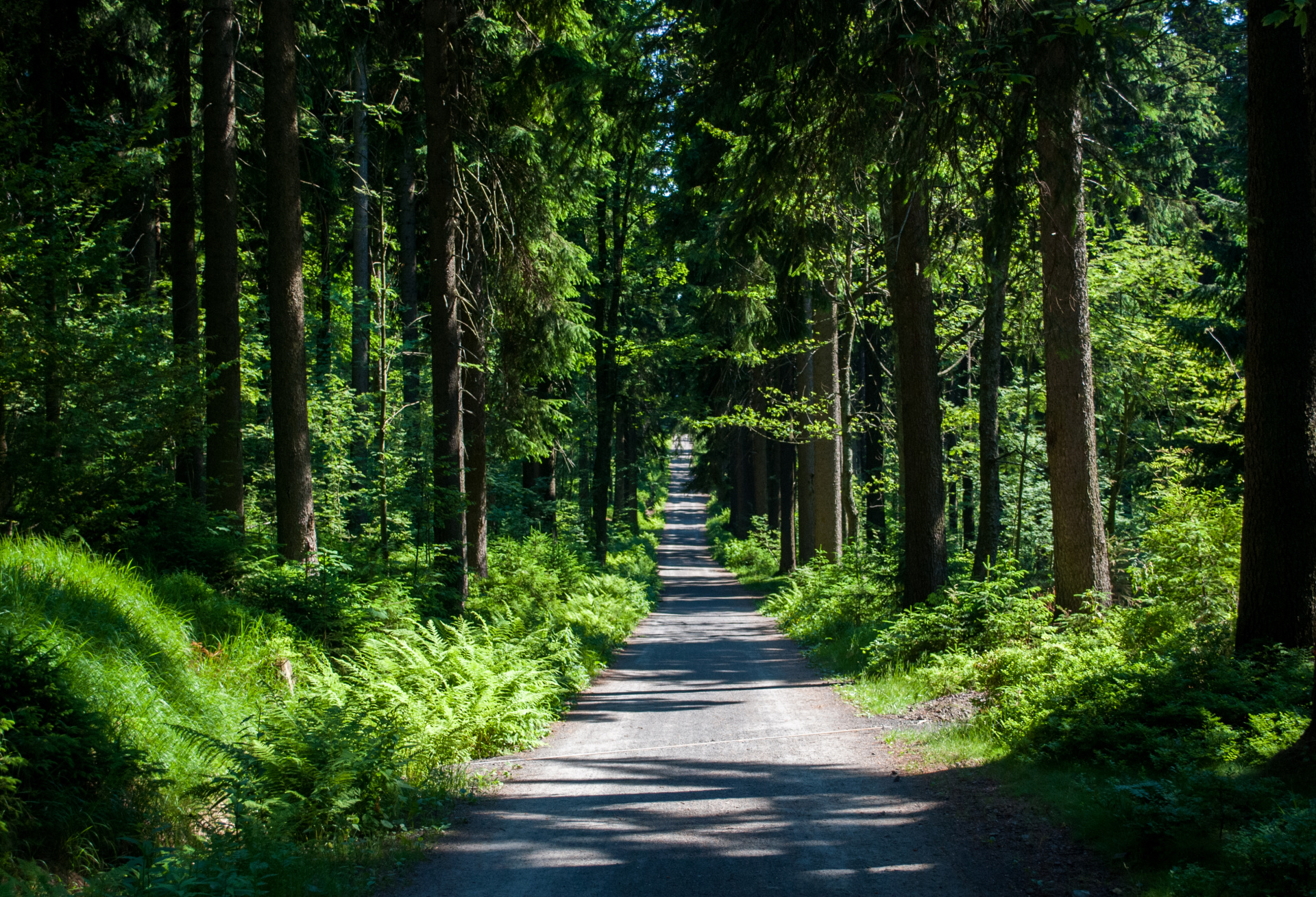 shutterstock_561881575.jpg