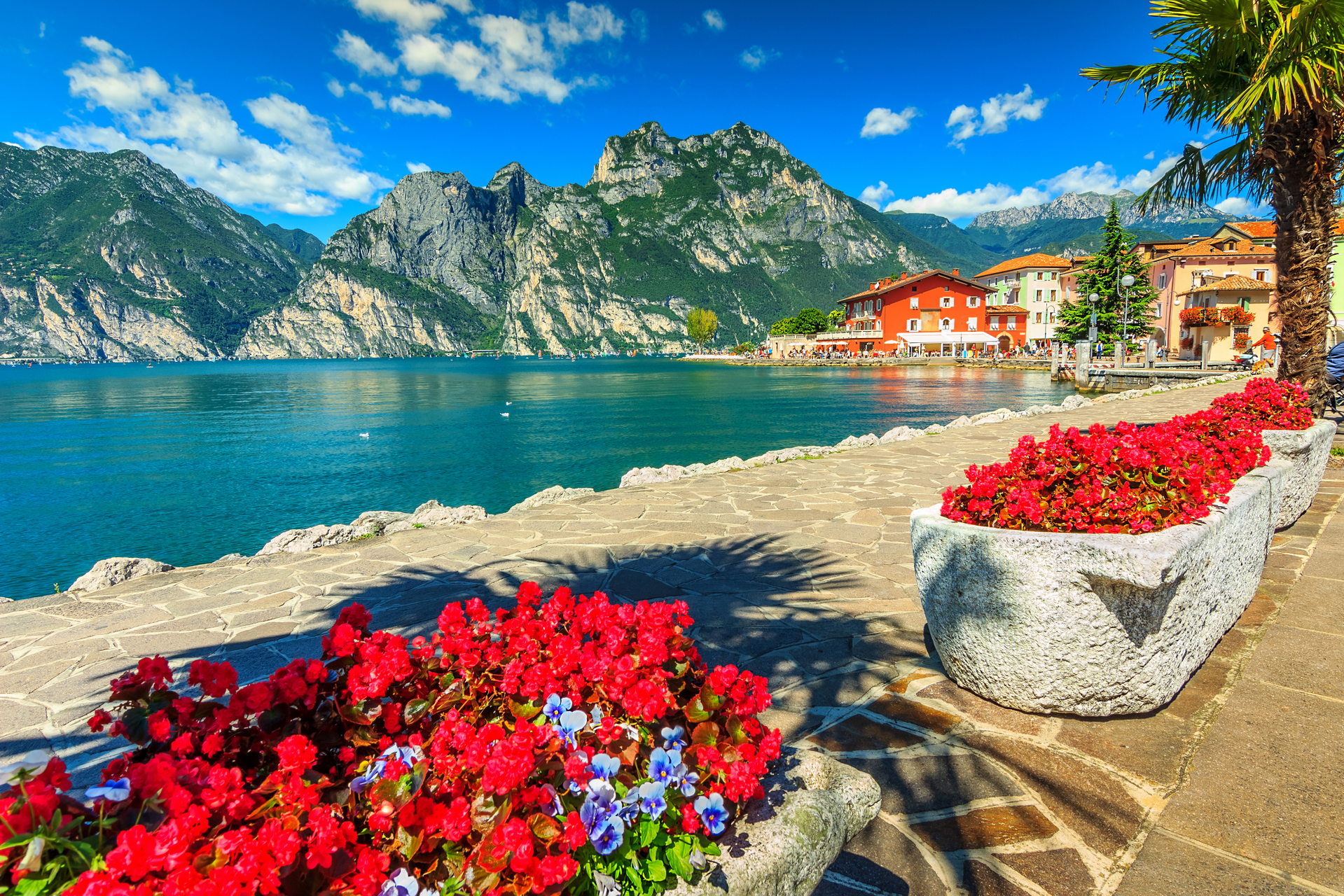 shutterstock_262804817.jpg