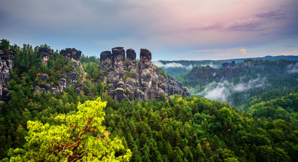 shutterstock_1616449147.jpg