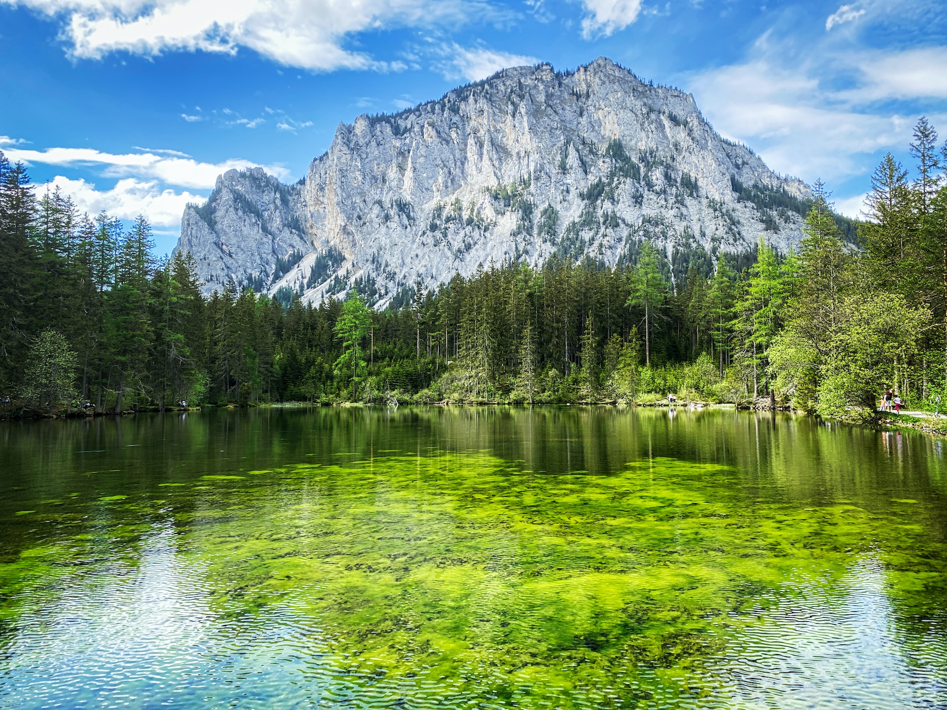 shutterstock_1727595880.jpg