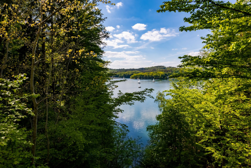 shutterstock_1734306515.jpg