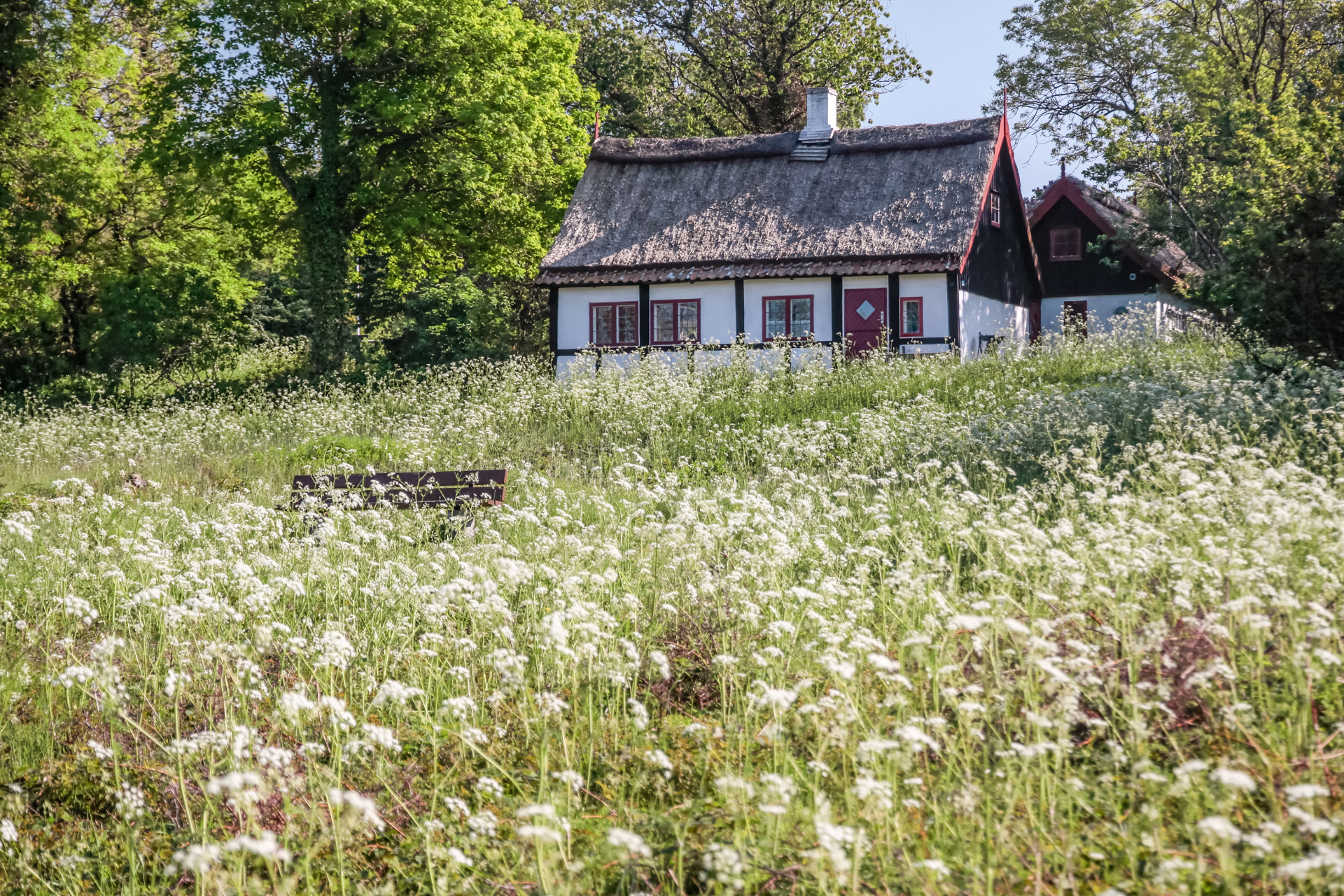 shutterstock_155686097.jpg