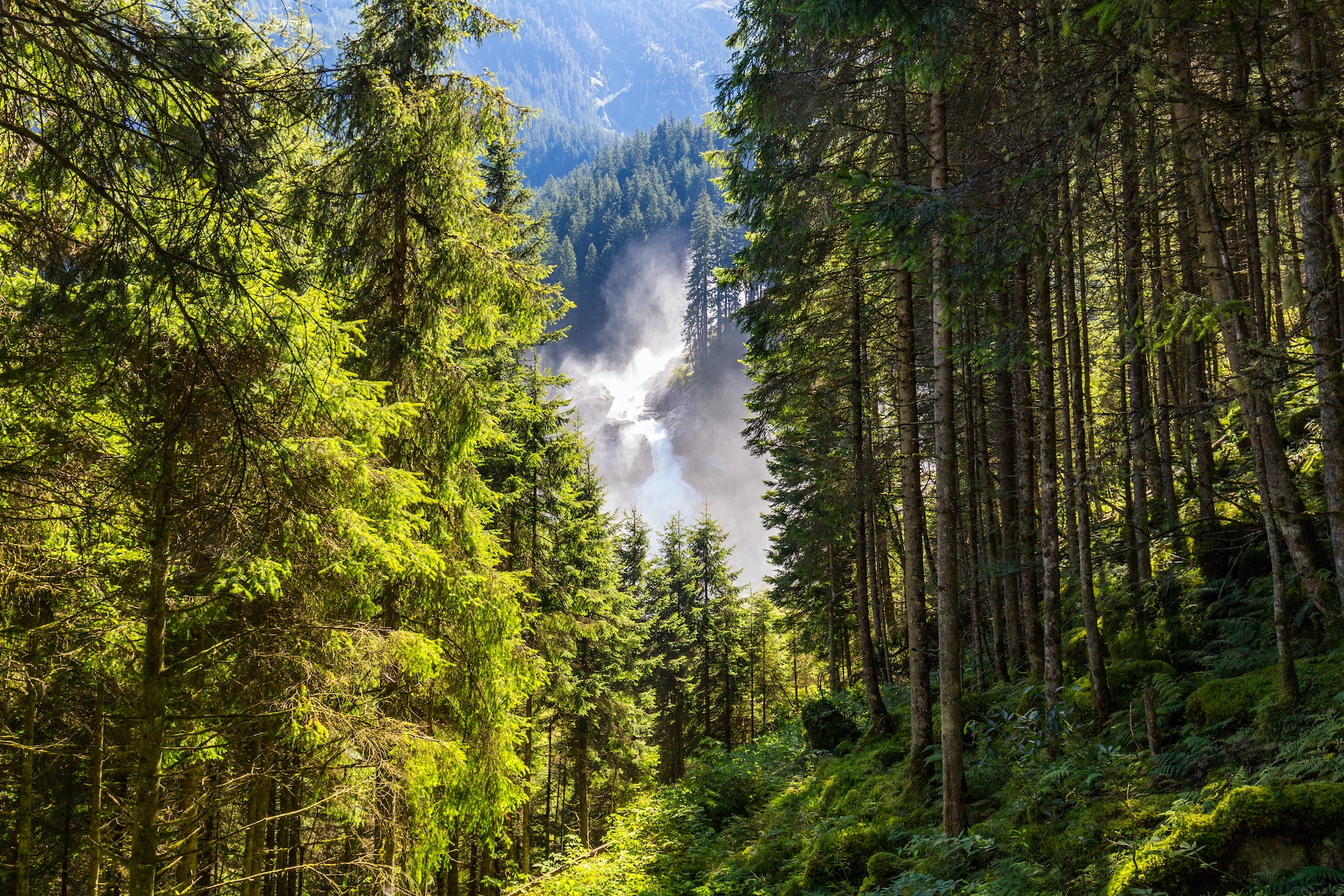 shutterstock_488369002.jpg