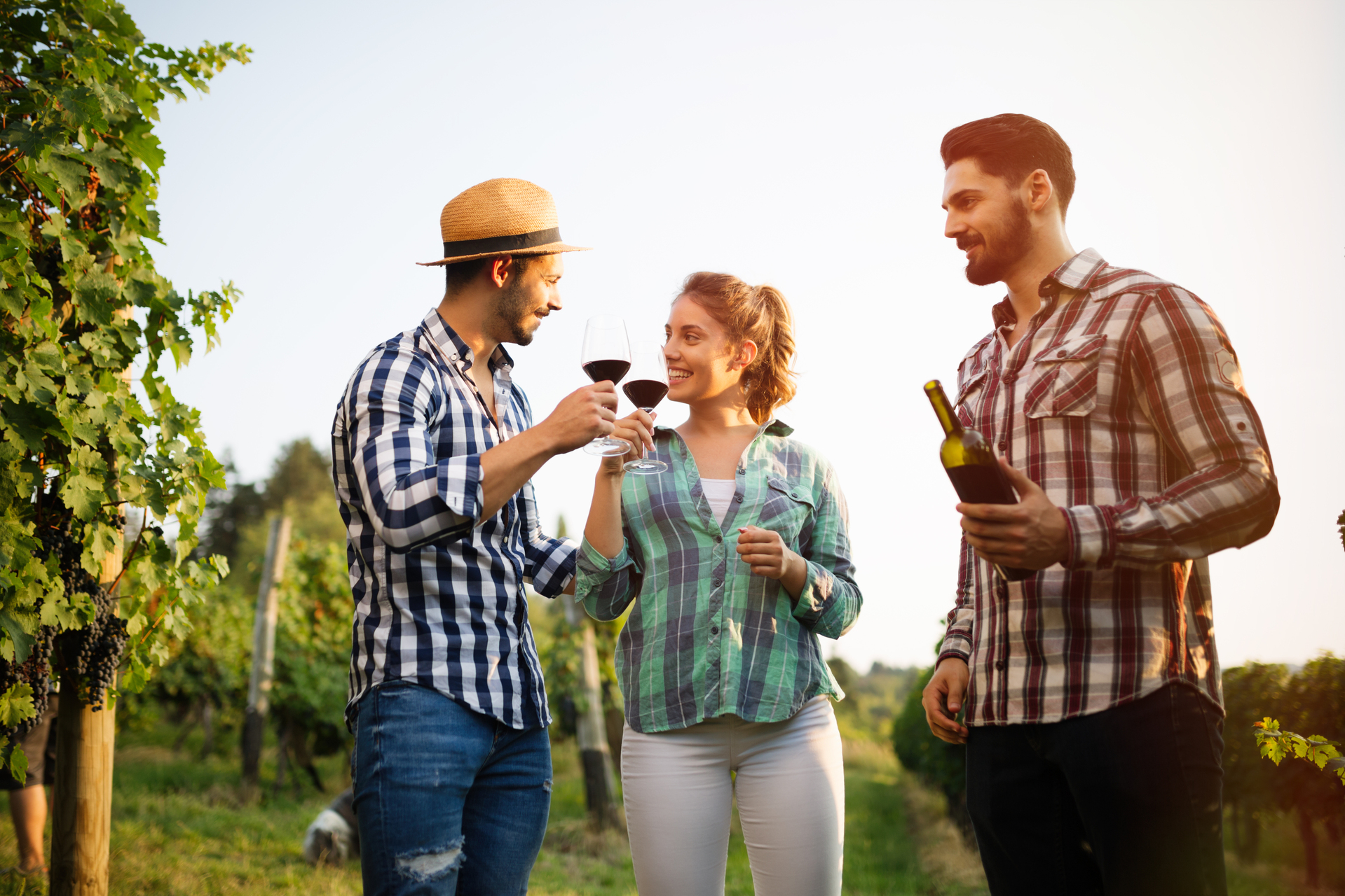 shutterstock_521361349.jpg
