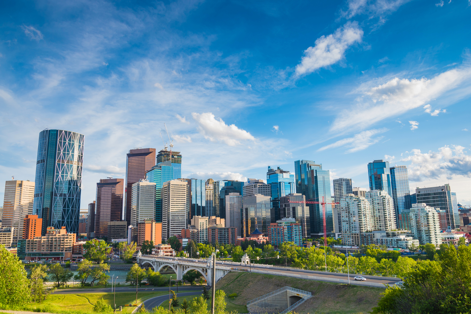shutterstock_517703239.jpg