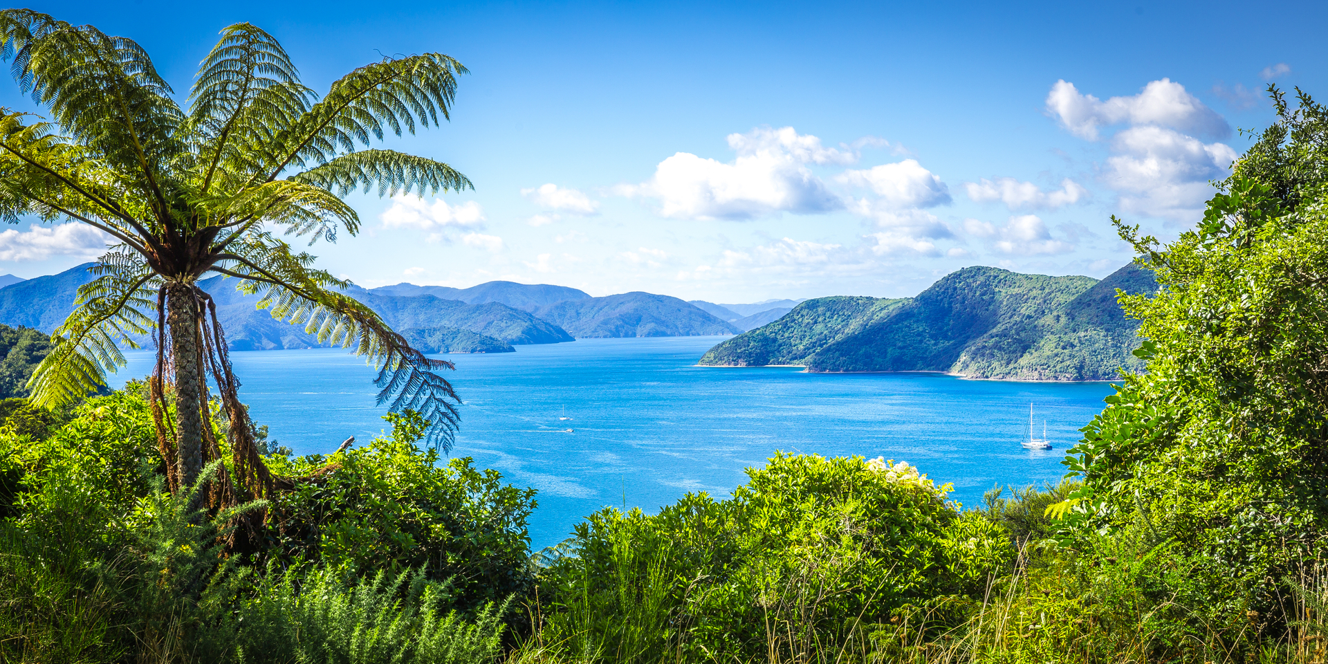 shutterstock_1411776179.jpg