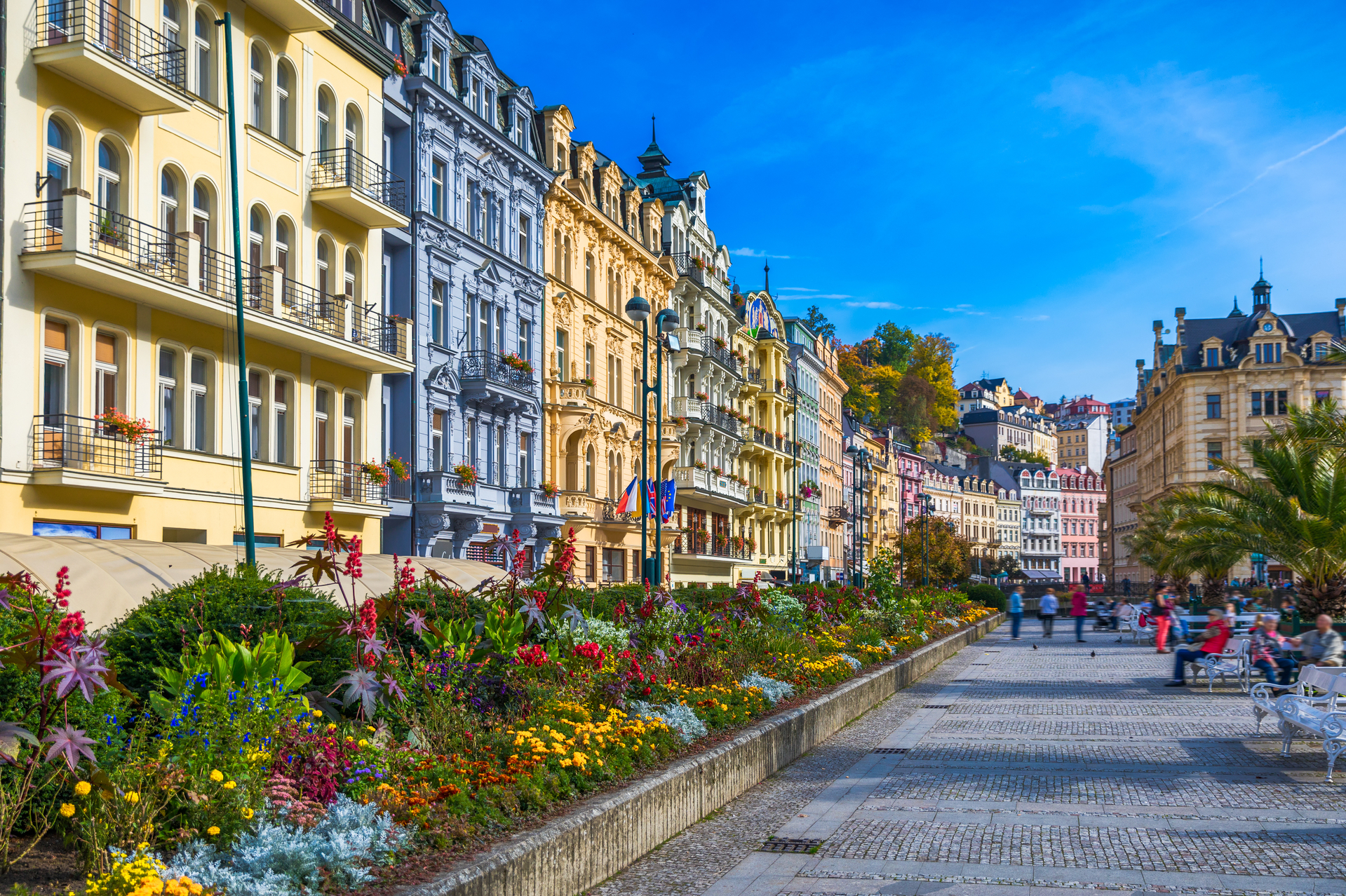 shutterstock_1093578515.jpg