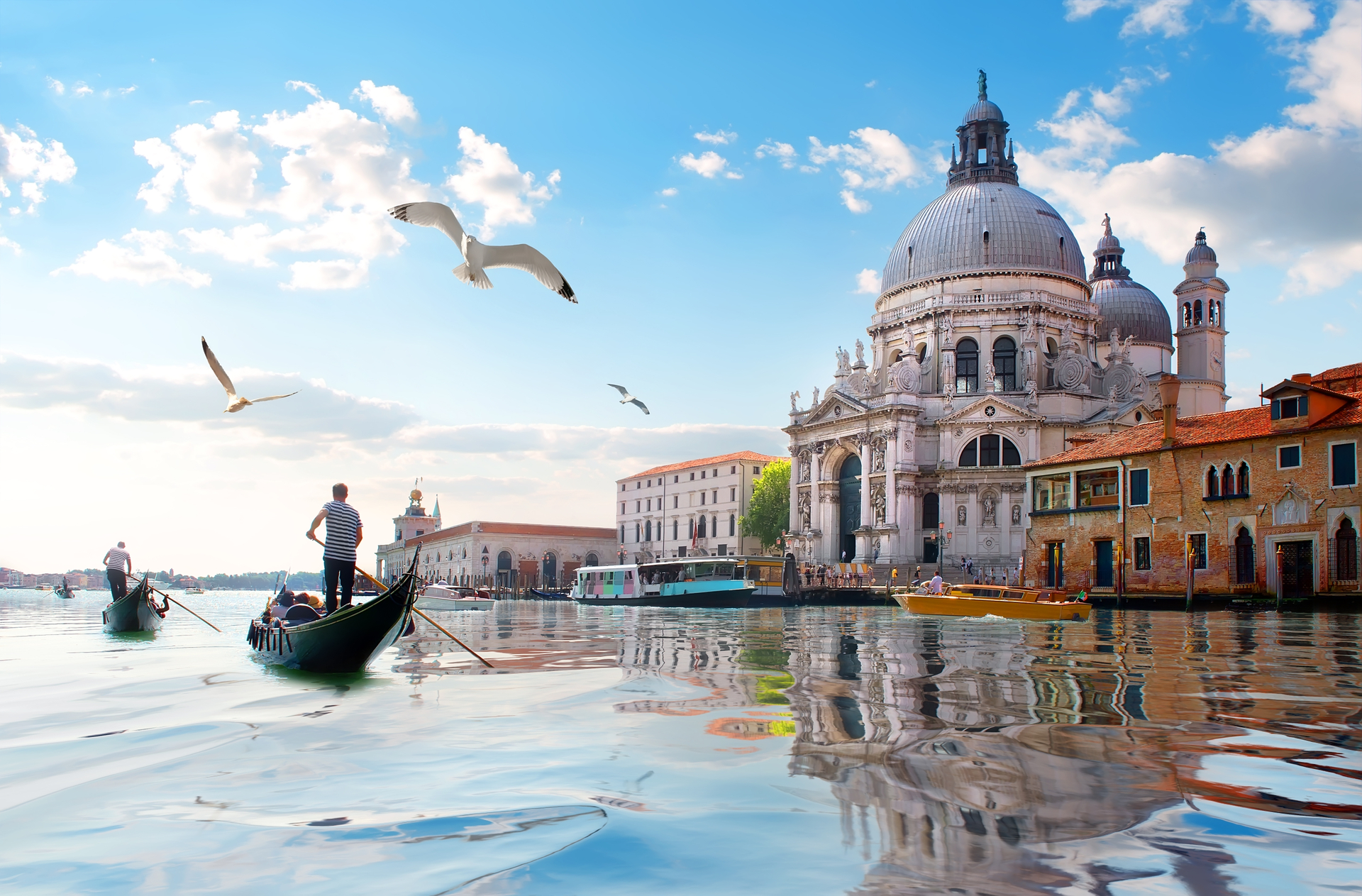 shutterstock_1272470107.jpg