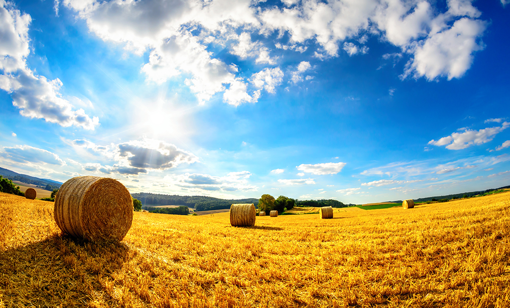 shutterstock_458525530.jpg
