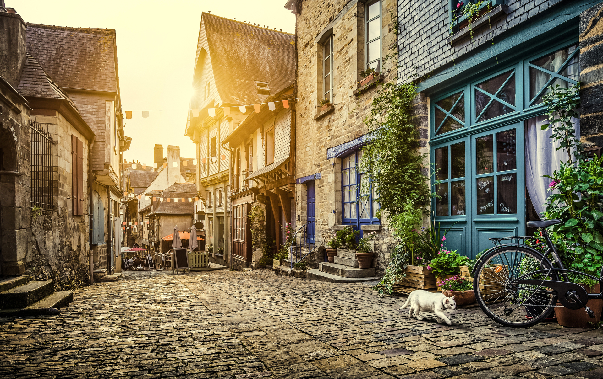 shutterstock_573984976.jpg
