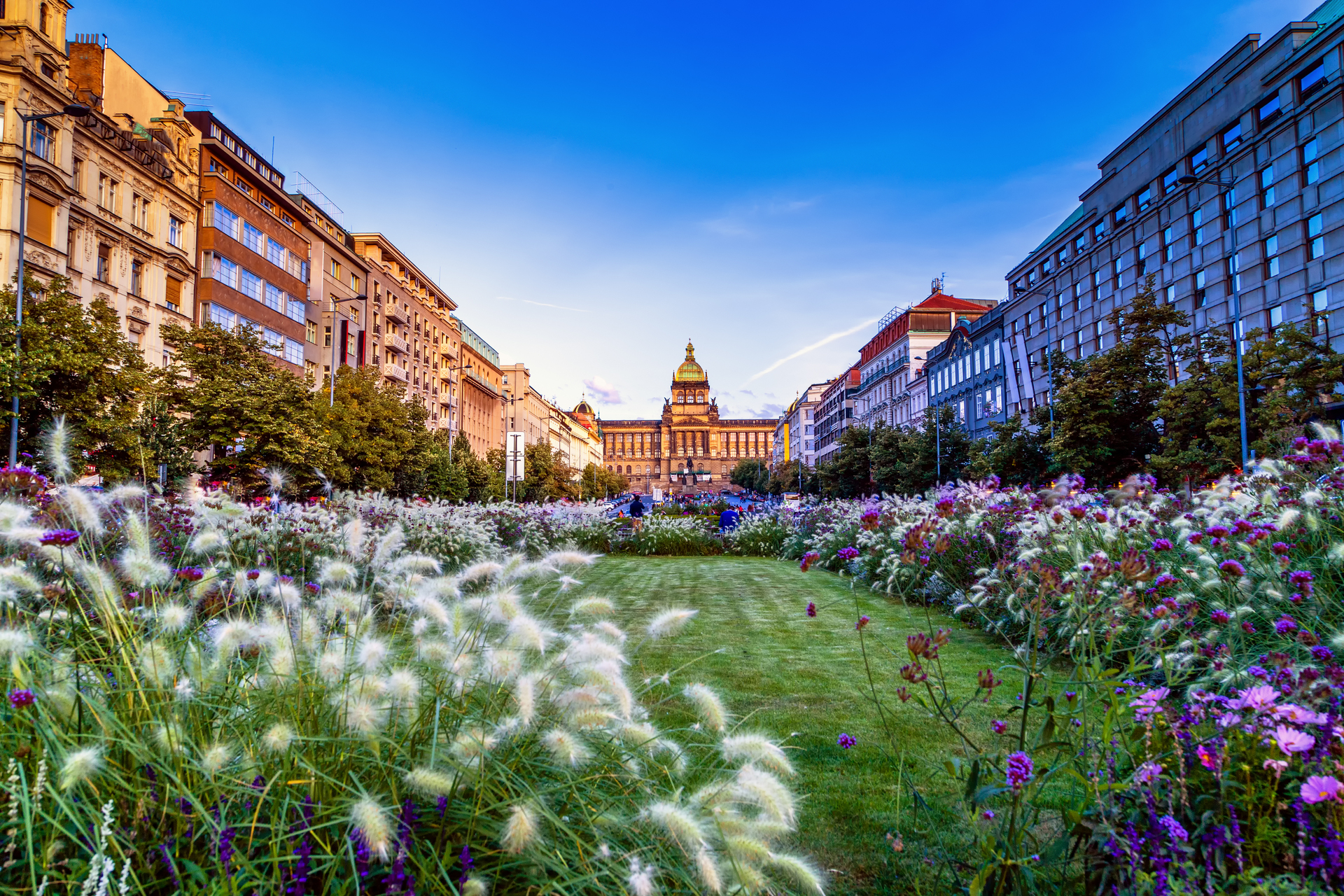 shutterstock_228234112.jpg