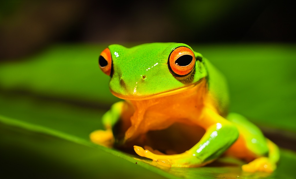 shutterstock_61336480.jpg