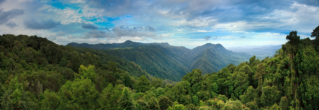 shutterstock_78116857.jpg