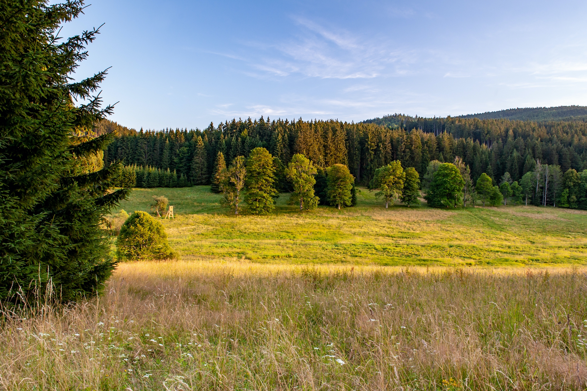 shutterstock_1728397168.jpg