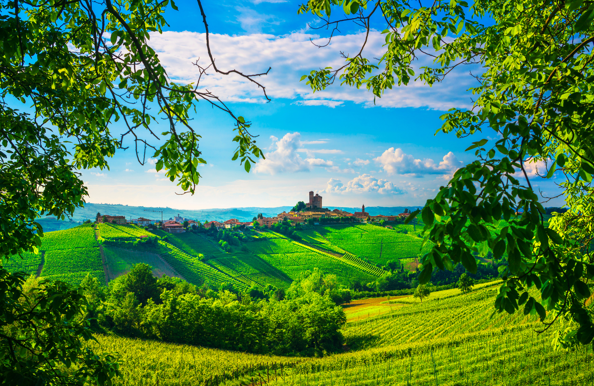 shutterstock_1198124302.jpg