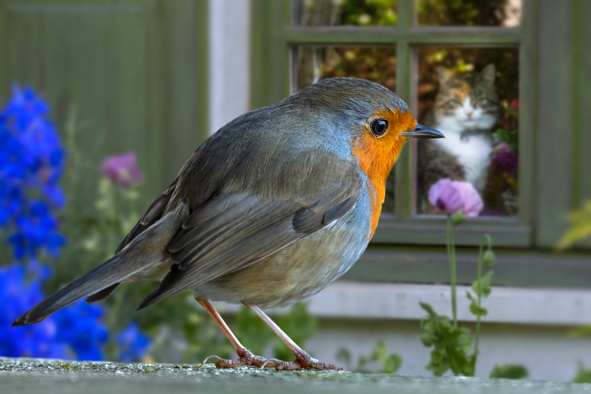 shutterstock_101922088.jpg