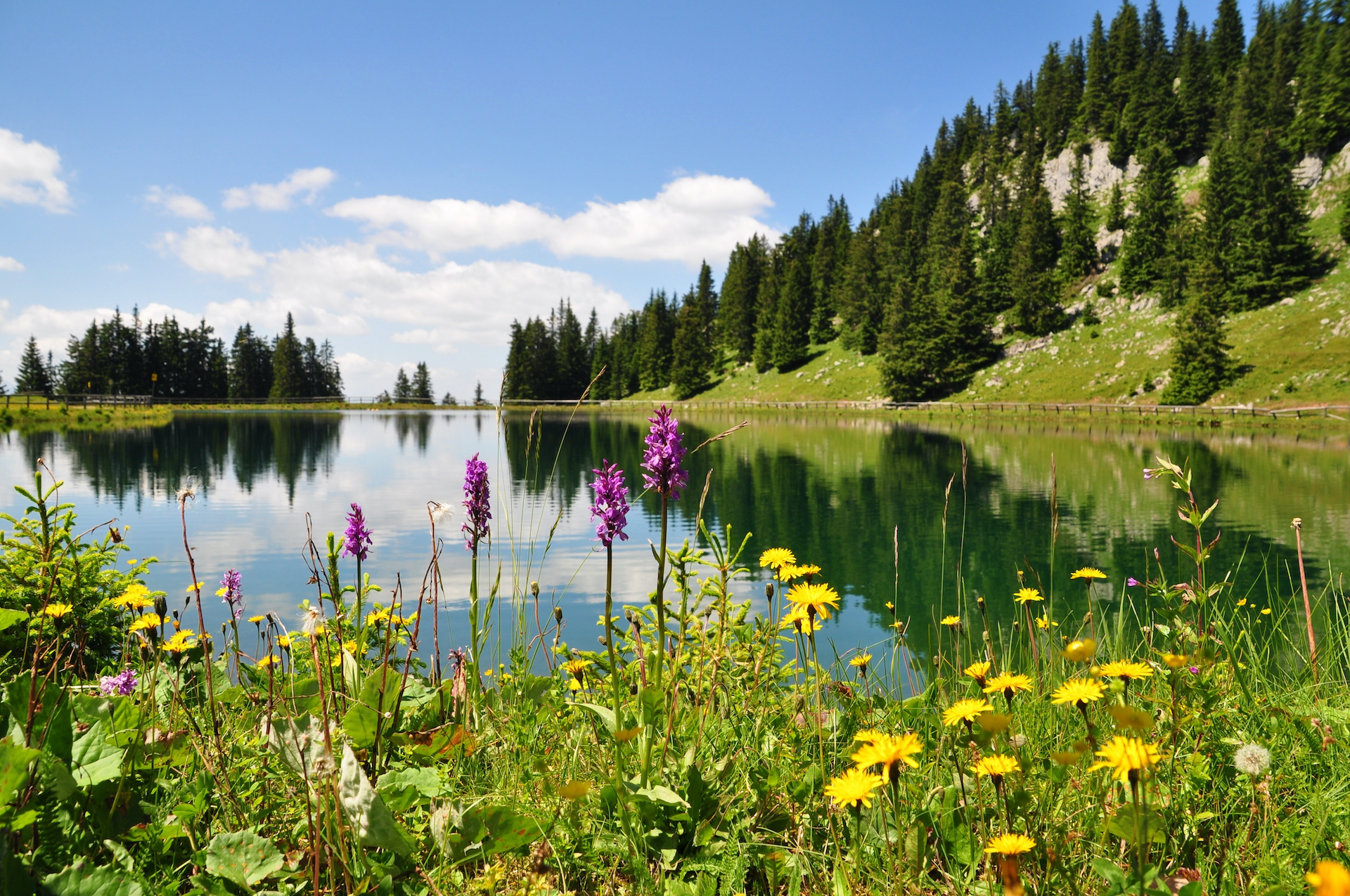 shutterstock_146456099.jpg