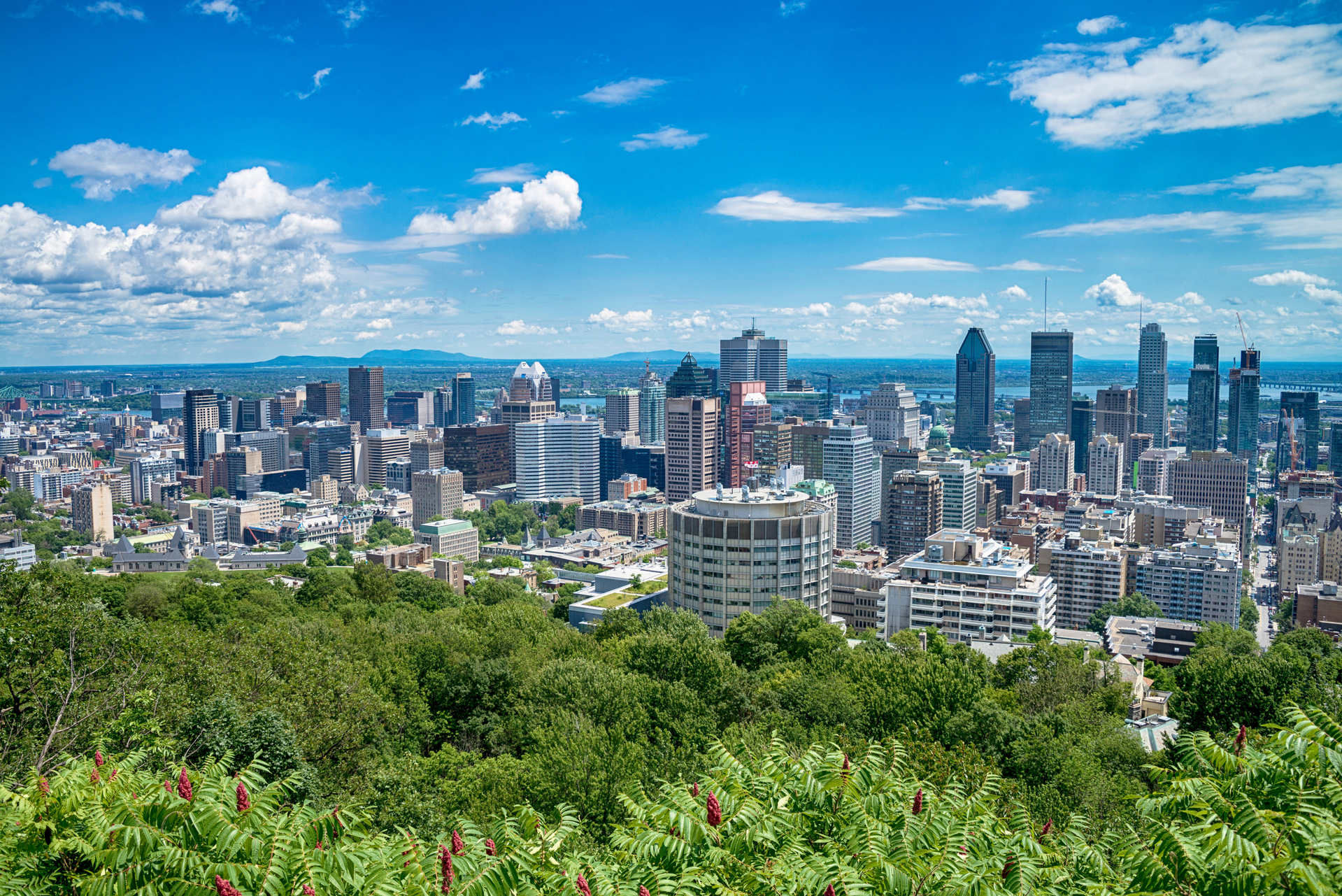 shutterstock_1417053890.jpg